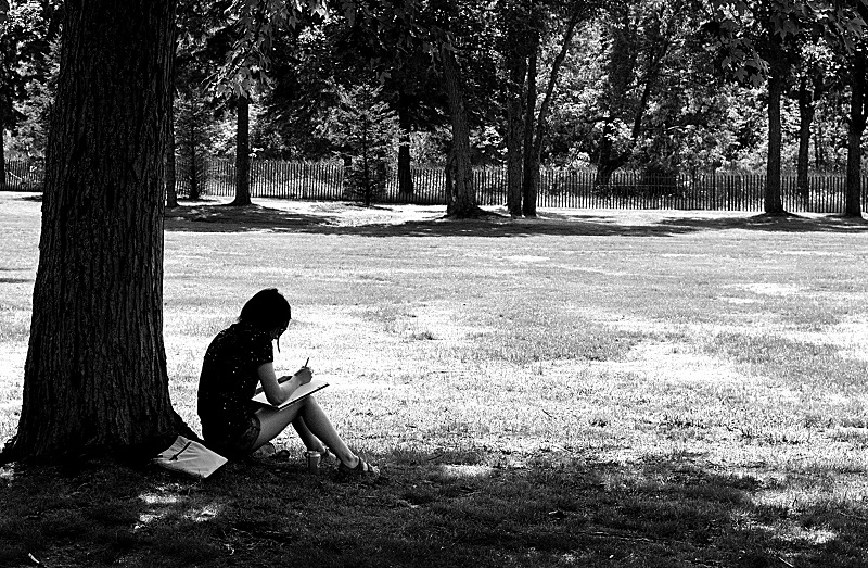 Photograph of a person drawing in a park